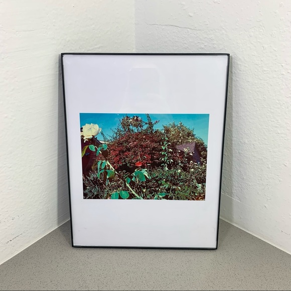 Lovely Star Original Photography Print - Picture 3 of 10